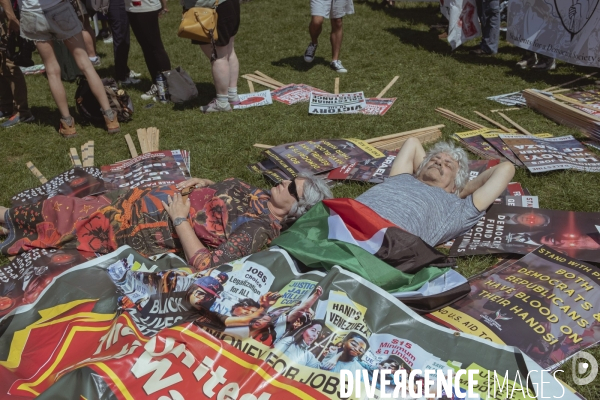 Manifestation Israel-Palestine-Gaza en marge de la convention démocrate à Chicago.