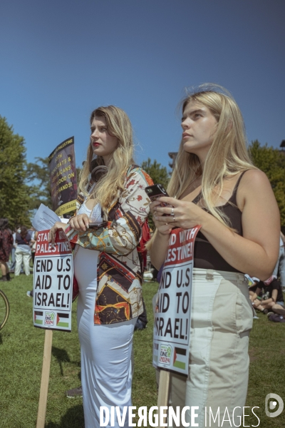 Manifestation Israel-Palestine-Gaza en marge de la convention démocrate à Chicago.