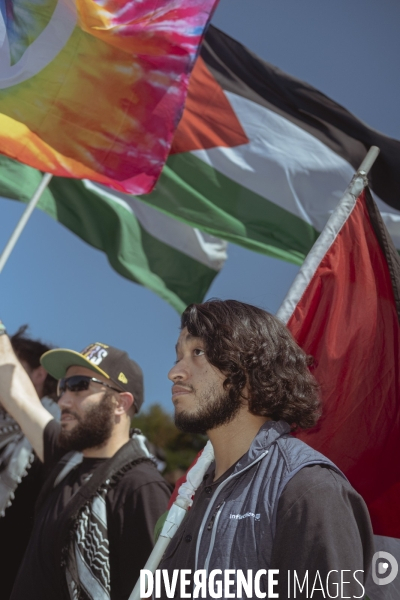 Manifestation Israel-Palestine-Gaza en marge de la convention démocrate à Chicago.