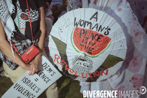 Manifestation Israel-Palestine-Gaza en marge de la convention démocrate à Chicago.