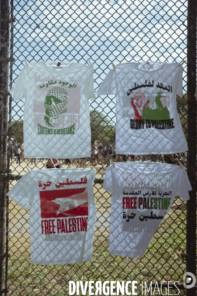 Manifestation Israel-Palestine-Gaza en marge de la convention démocrate à Chicago.