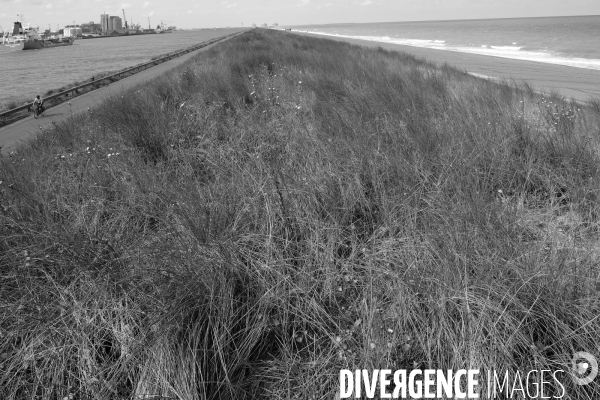 Un dimanche à la digue du Break # 3