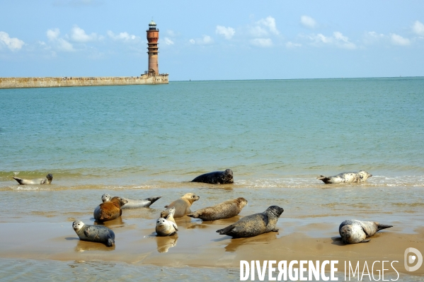 Un dimanche à la digue du Break # 3