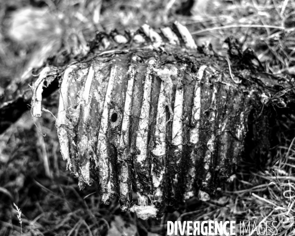 L envers de mon hiver # 12