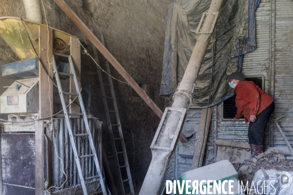 Marie-Claude, Chronique paysanne #6- Ete 2024