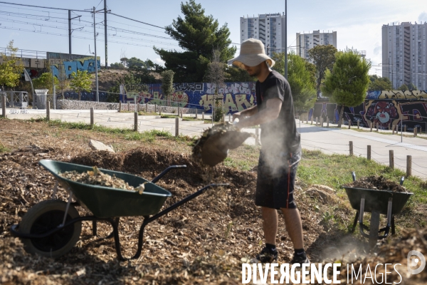 Agriculture urbaine