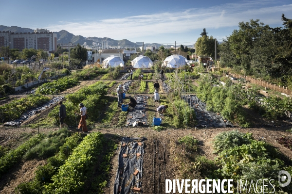 Agriculture urbaine