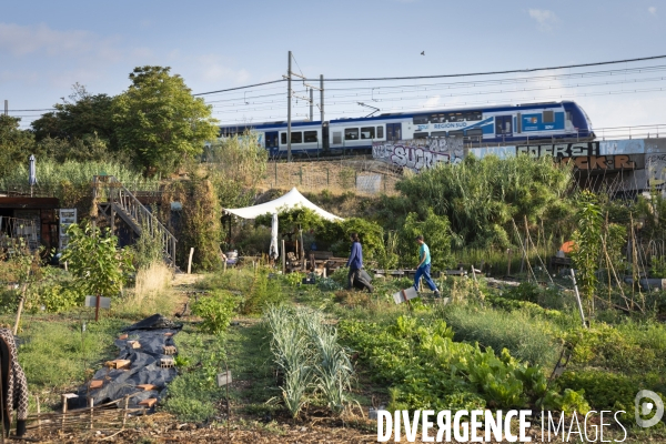Agriculture urbaine