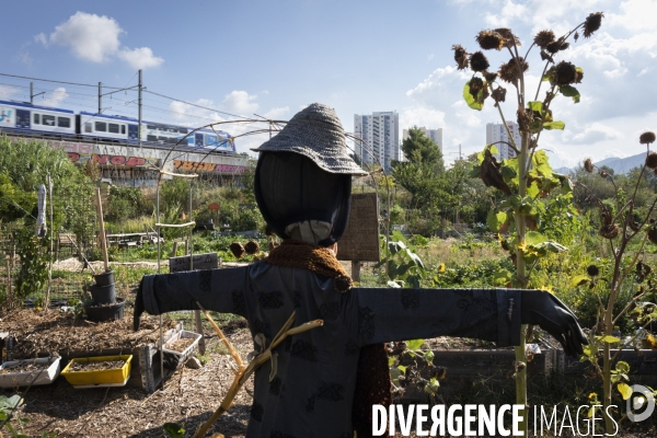 Agriculture urbaine