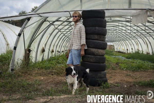 Agriculture urbaine