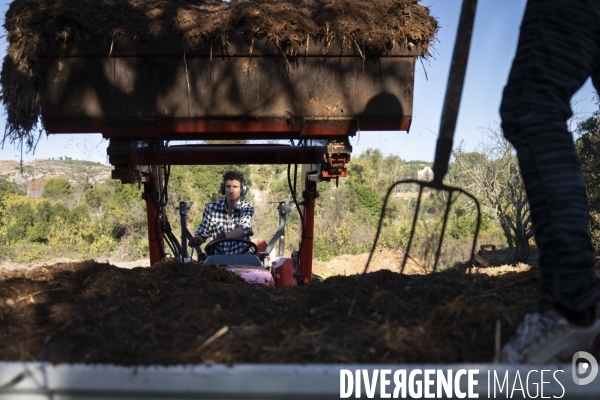 Agriculture urbaine