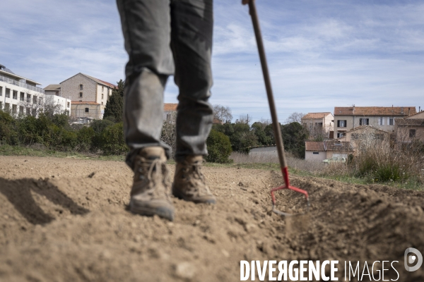 Agriculture urbaine