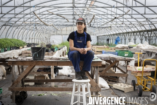 Agriculture urbaine