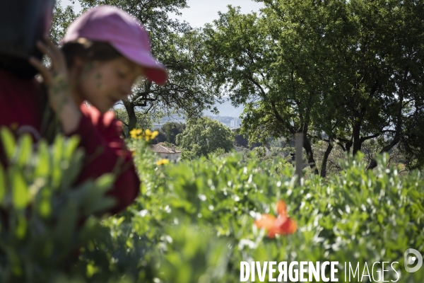 Agriculture urbaine