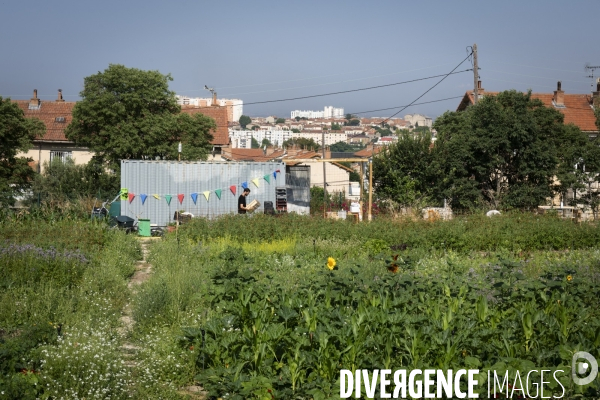 Agriculture urbaine