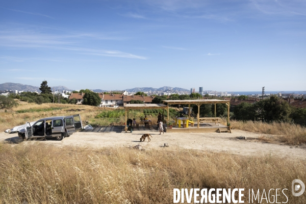 Agriculture urbaine