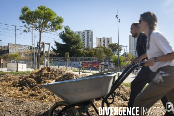 Agriculture urbaine