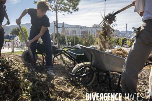 Agriculture urbaine