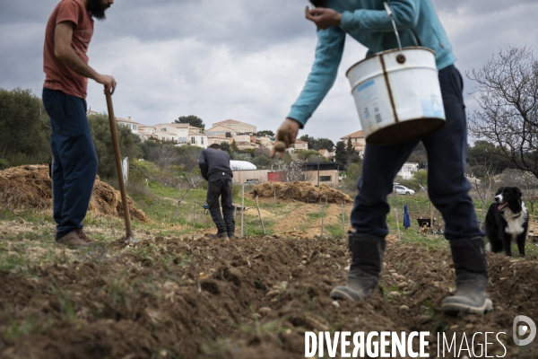 Agriculture urbaine