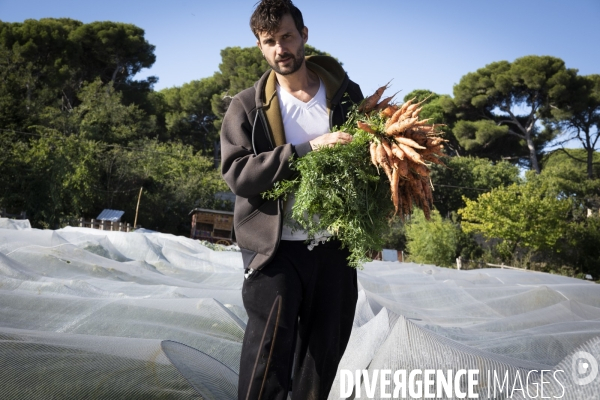 Agriculture urbaine