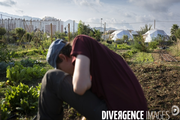 Agriculture urbaine