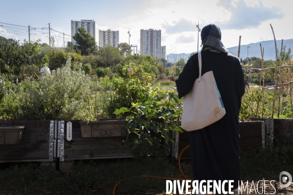 Agriculture urbaine