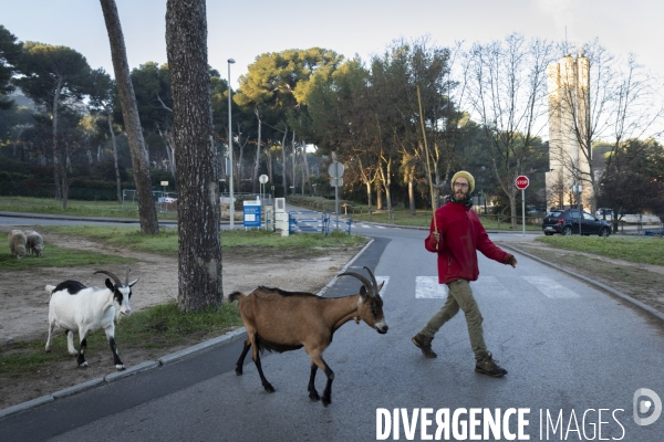Agriculture urbaine