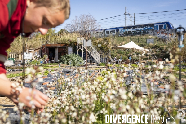 Agriculture urbaine