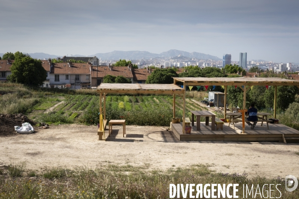 Agriculture urbaine