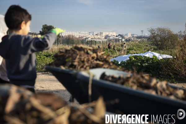 Agriculture urbaine