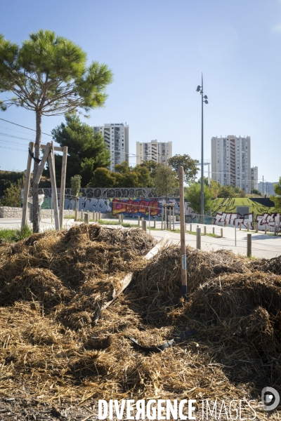Agriculture urbaine