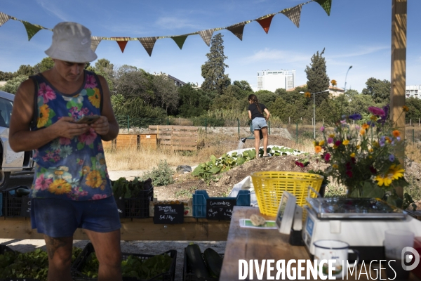 Agriculture urbaine
