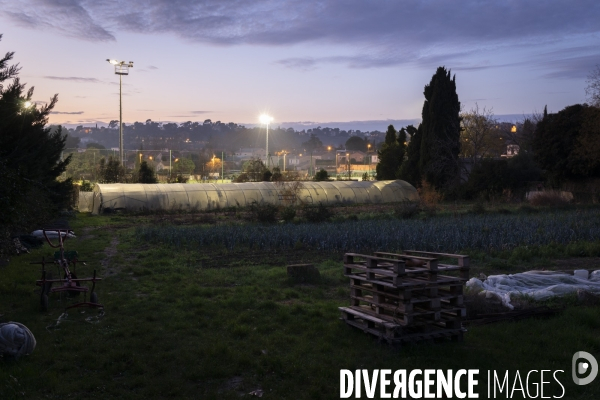 Agriculture urbaine