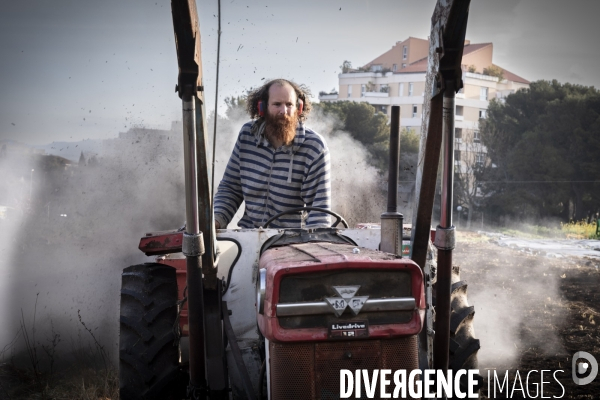 Agriculture urbaine