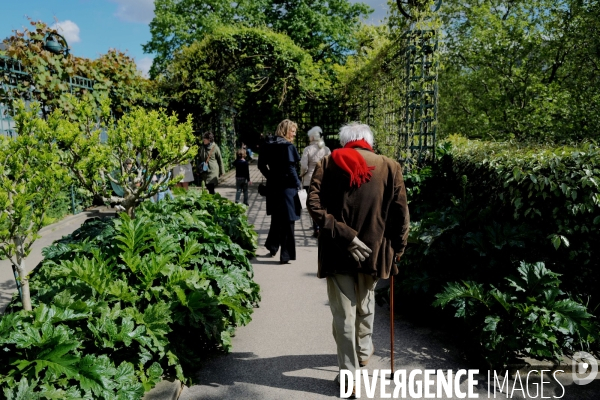 Un retraité dans un parc à Paris