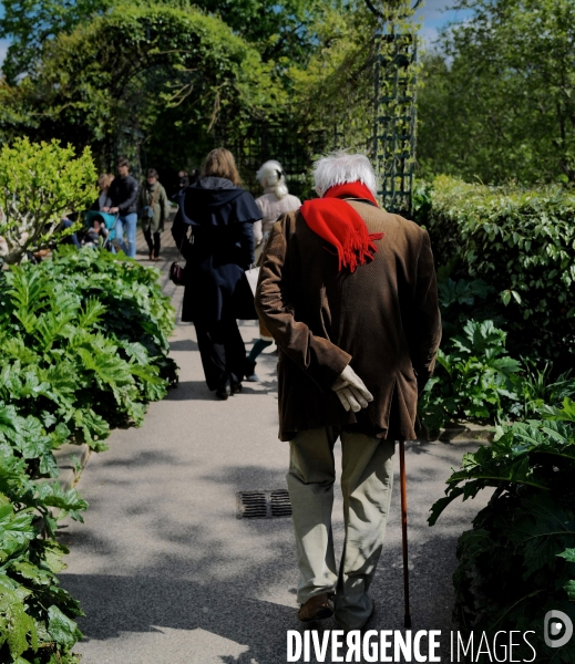 Un retraité dans un parc à Paris