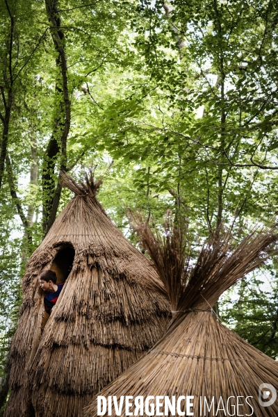 La forêt monumentale, l art qui révèle la forêt