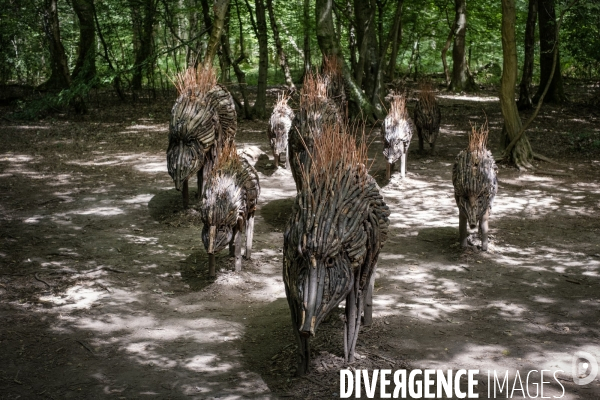 La forêt monumentale, l art qui révèle la forêt