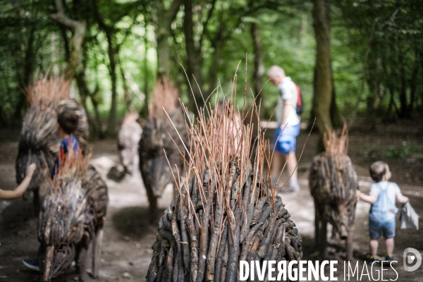 La forêt monumentale, l art qui révèle la forêt