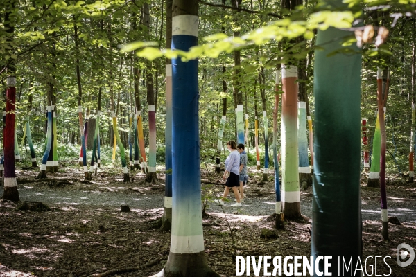 La forêt monumentale, l art qui révèle la forêt