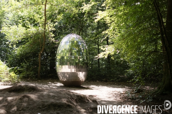 La forêt monumentale, l art qui révèle la forêt