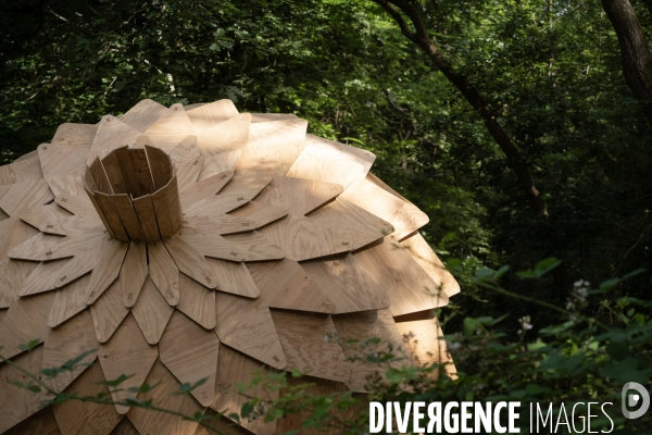 La forêt monumentale, l art qui révèle la forêt