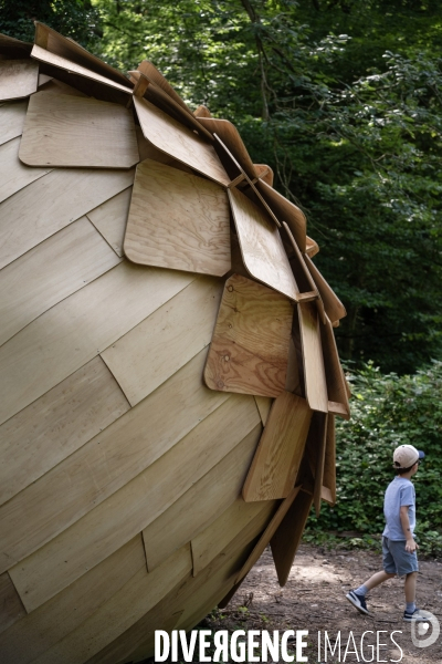La forêt monumentale, l art qui révèle la forêt