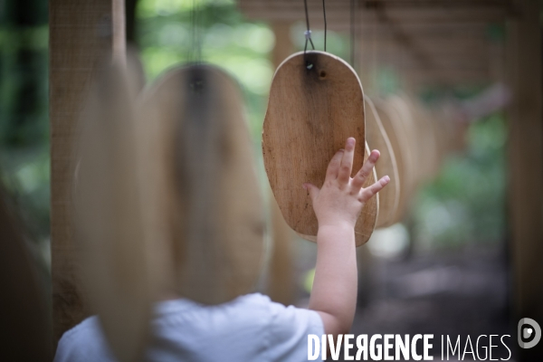 La forêt monumentale, l art qui révèle la forêt