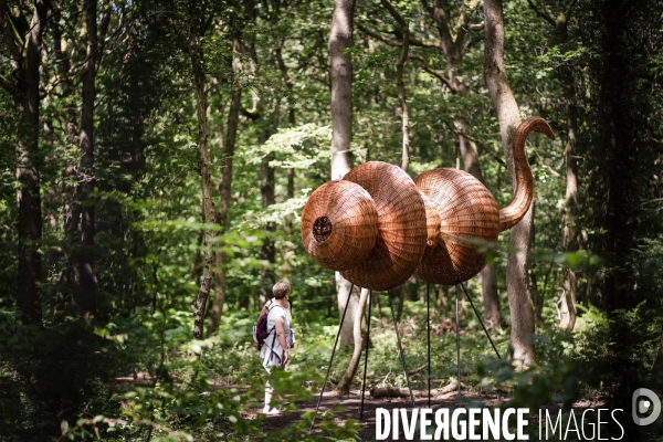 La forêt monumentale, l art qui révèle la forêt