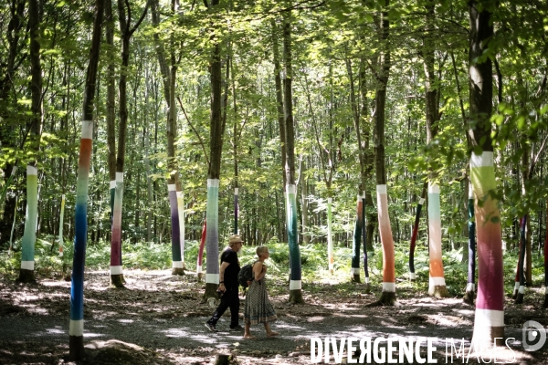 La forêt monumentale, l art qui révèle la forêt