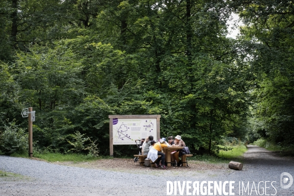 La forêt monumentale, l art qui révèle la forêt