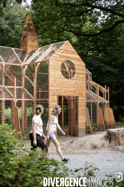La forêt monumentale, l art qui révèle la forêt