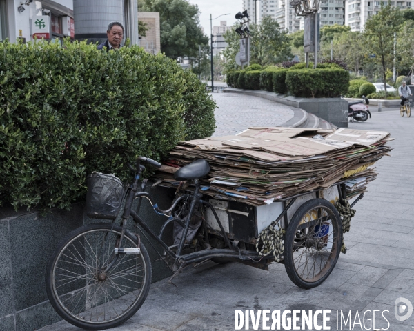 Shanghaï, un collecteur de cartons