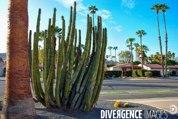 West AMERICA : Aux sources du Reve americain